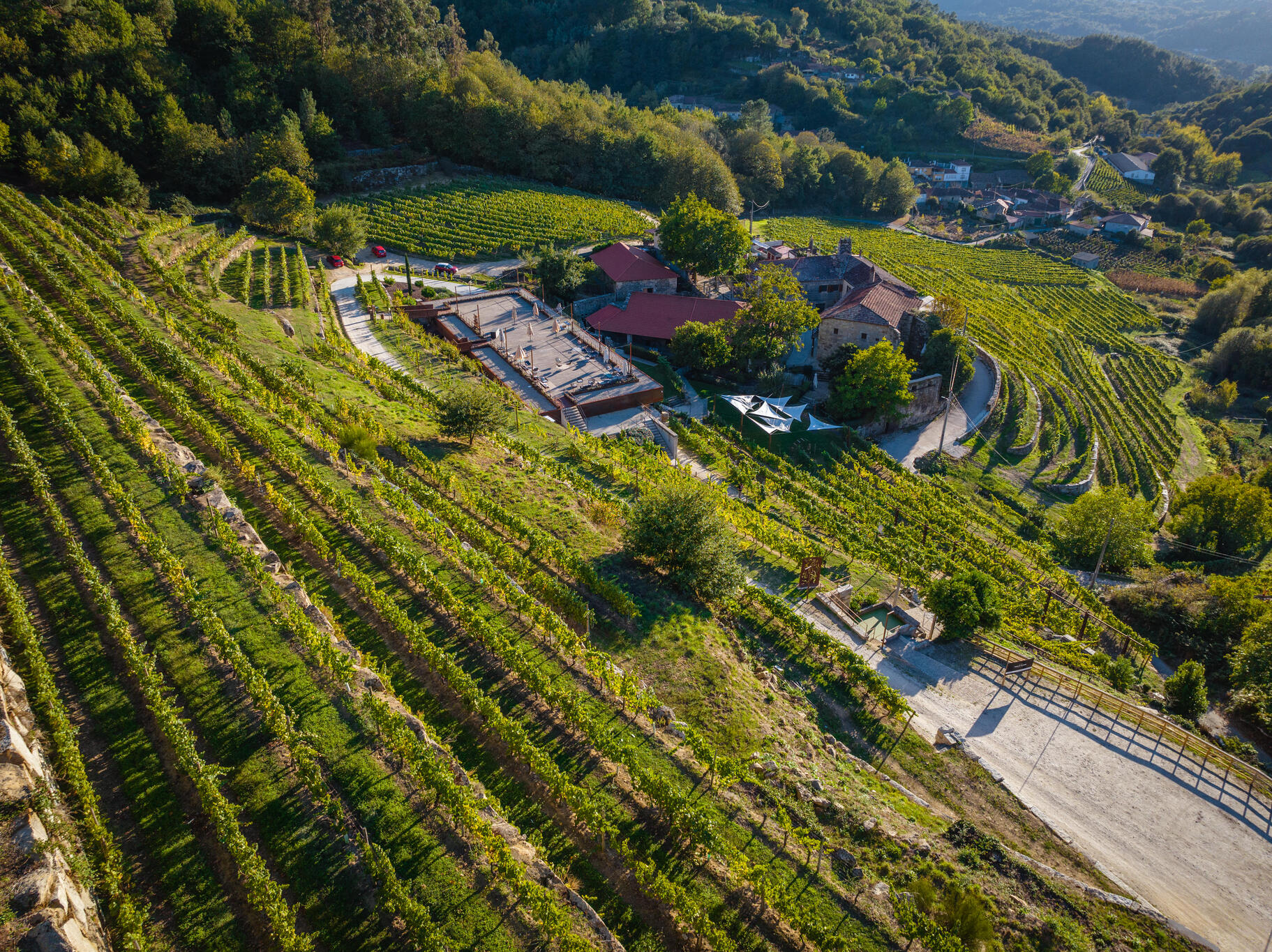 Aerial view of Pazo de Toubes and terraced vineyards in Cenlle, Ourense